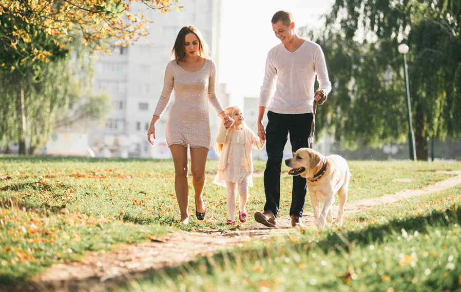 A family walking with their dog at a park.