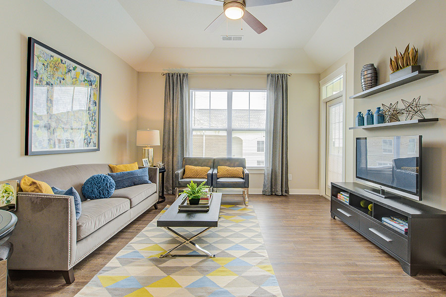 Apartment living room with wall art, area rug and furnishings